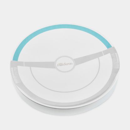 Immagine di Piatto "Volante Riva"