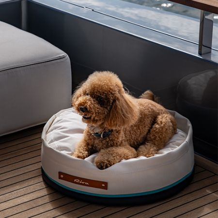 Immagine per la categoria Accessori per cani